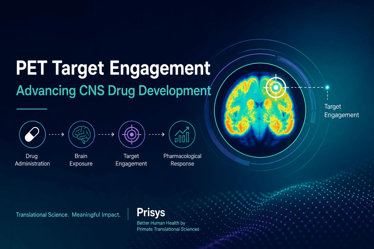 PET Target Engagement in NHPs PET Target Engagement in NHPs