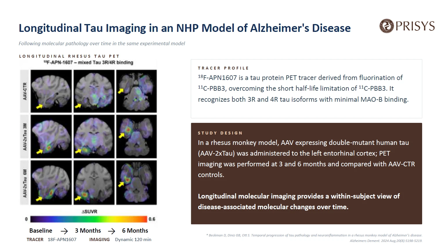 news-1-1 Longitudinal molecular imaging provides a within-subject view of disease-associated molecular changes over time.