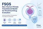 Modèle PSN de glomérulosclérose segmentaire focale (FSGS)