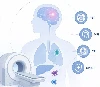 Études translationnelles